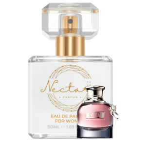 Nectaré - N°12 ( Scandal - Jean Paul Gaultier )